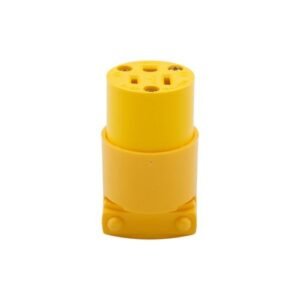4887-BOX Eaton Arrow Hart straight blade 2 Pole 15A 125V connector 5-15R