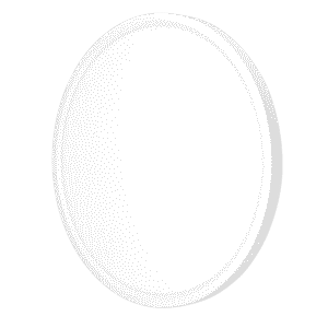 12″ Slim Flush Mount LED 24W 5CCT Dimmable