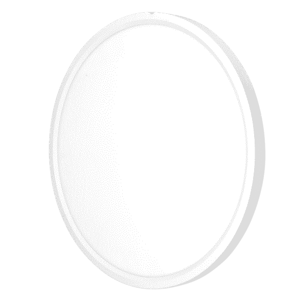 12″ Slim Flush Mount LED 24W 5CCT Dimmable
