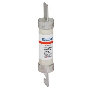 TR100R_TR Fuse Class RK5 Time-Delay 100A 250V
